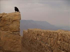 Masada UNESCO